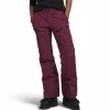 Women The North Face Dawnstrike GORE-TEX Insulated Pants - Women's