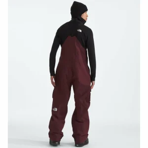 The North Face Dragline Bibs - Men's