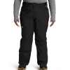 Women The North Face Freedom Insulated Plus Short Pants - Women's