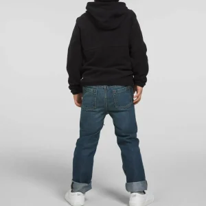 Kids The North Face Glacier Full Zip Hoodie - Toddlers'
