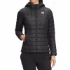 Women The North Face ThermoBall Eco Hoodie - Women's