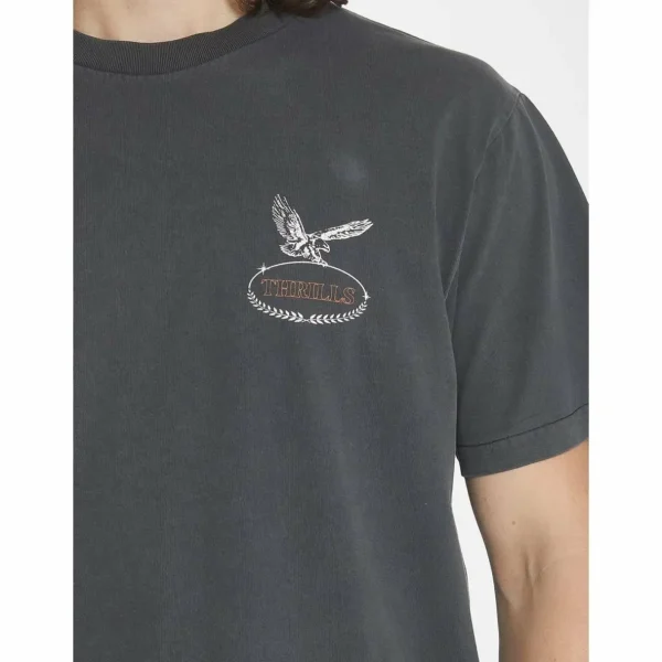 Thrills Canyon Merch Fit T-Shirt - Men's