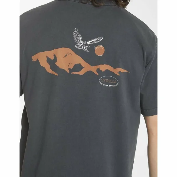 Thrills Canyon Merch Fit T-Shirt - Men's