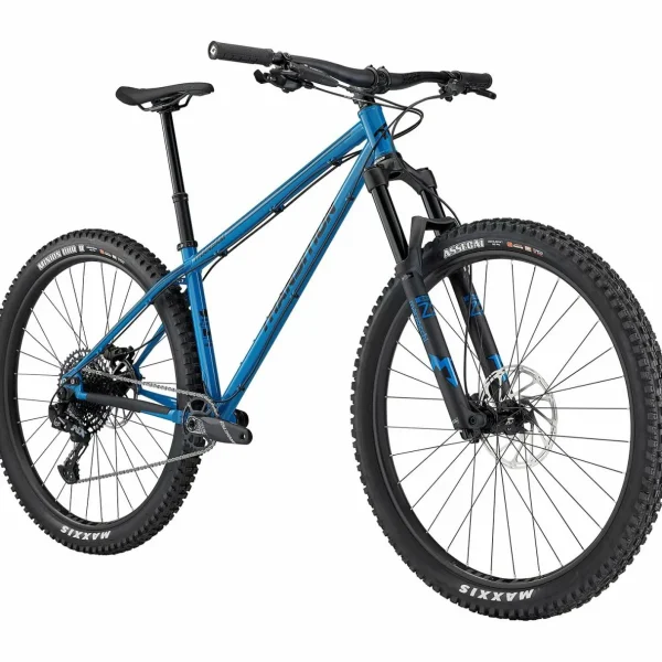 Transition TransAM Complete Mountain Bike 2025