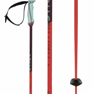 Völkl Phantastick 18mm Ski Poles 2025