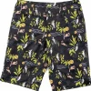 Women Wild Rye Kaweah Shorts - Women's
